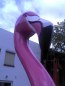 Preview: Colano Flamingo