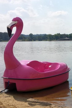 Colano Flamingo